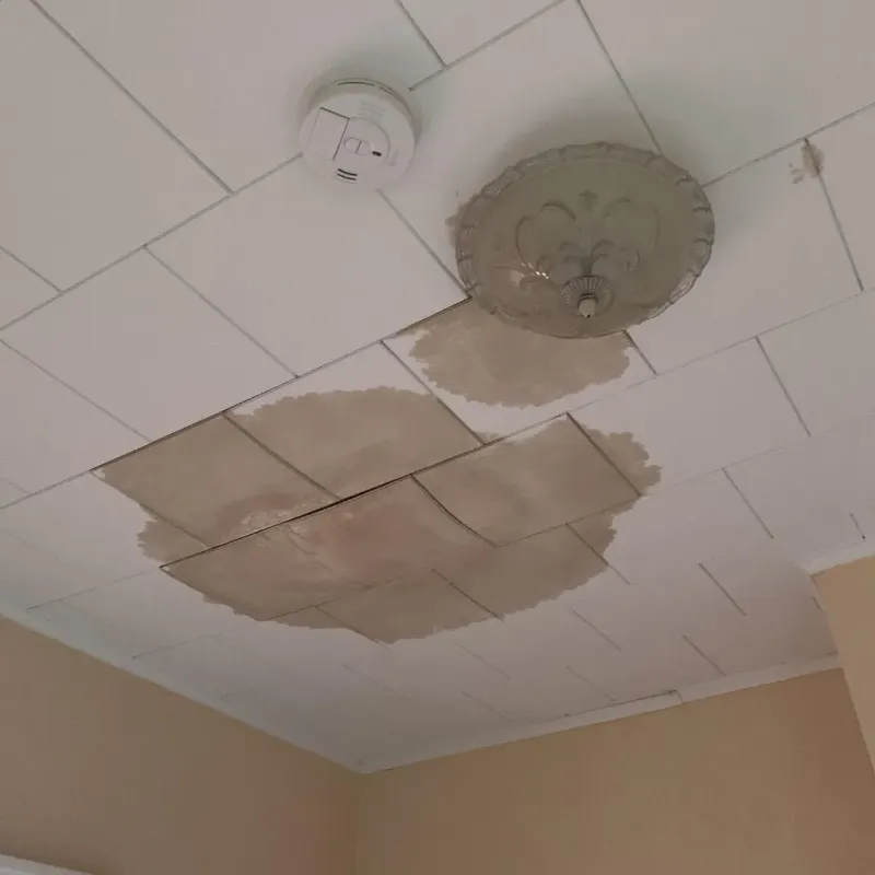 Ceiling Water Damage Repair in West Dennis, MA